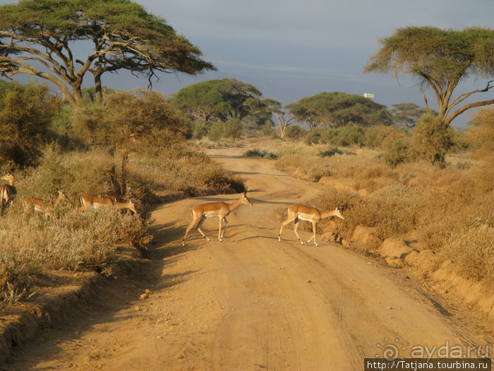 Как мы попали в Эмали и Высшие Силы.