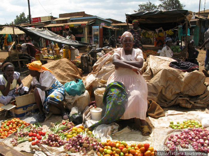 Как мы попали в Эмали и Высшие Силы.