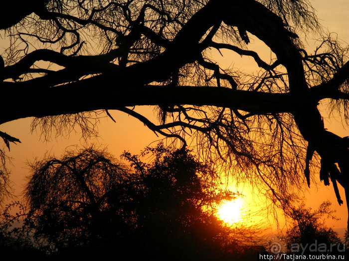 Как мы попали в Эмали и Высшие Силы.