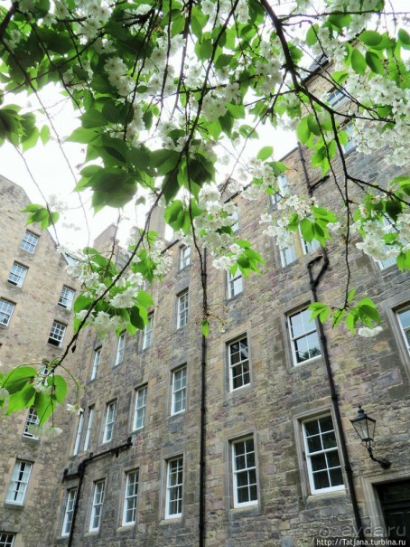 Страшилки и призраки Единбурга