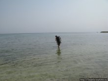 Туризм, Марса-Алам и как я отмывала деньги и кокос