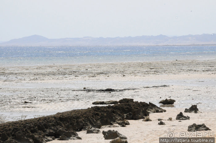 Туризм, Марса-Алам и как я отмывала деньги и кокос