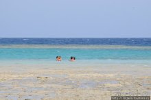 Туризм, Марса-Алам и как я отмывала деньги и кокос