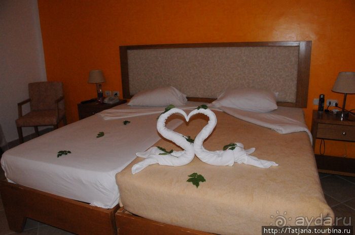 Туризм, Марса-Алам и как я отмывала деньги и кокос