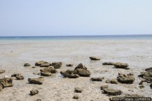 Туризм, Марса-Алам и как я отмывала деньги и кокос