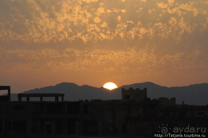 Альбом отзыва "Туризм, Марса-Алам и как я отмывала деньги и кокос"