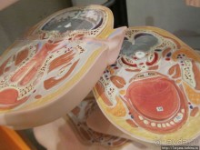 Музей истории медицины им. Паула Страдыня