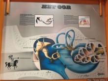 Музей истории медицины им. Паула Страдыня