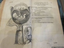 Музей истории медицины им. Паула Страдыня