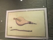 Музей истории медицины им. Паула Страдыня