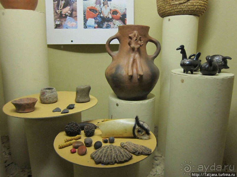 Музей истории медицины им. Паула Страдыня