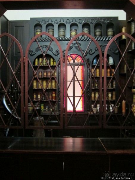 Музей истории медицины им. Паула Страдыня