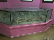 Музей истории медицины им. Паула Страдыня