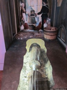 Музей истории медицины им. Паула Страдыня