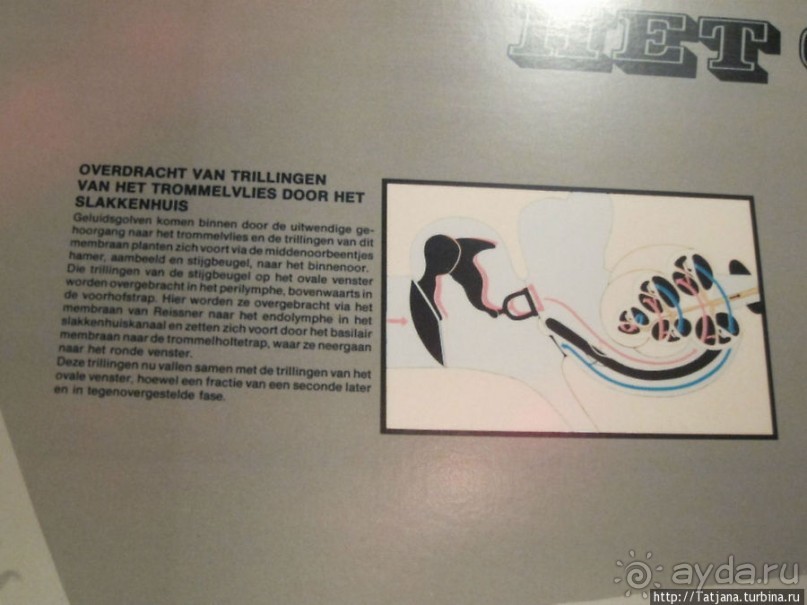 Музей истории медицины им. Паула Страдыня