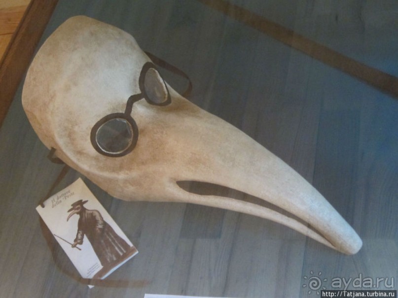 Музей истории медицины им. Паула Страдыня