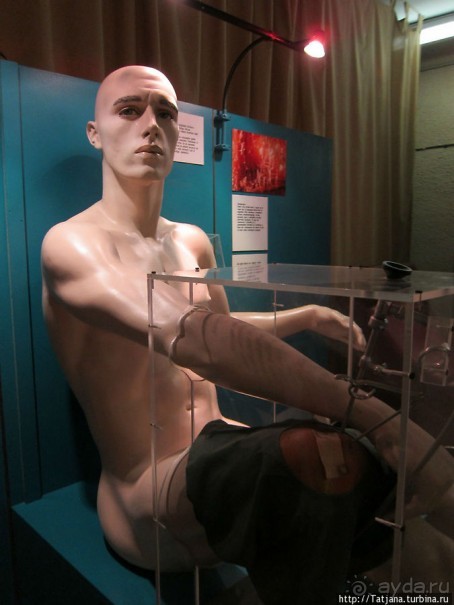 Музей истории медицины им. Паула Страдыня