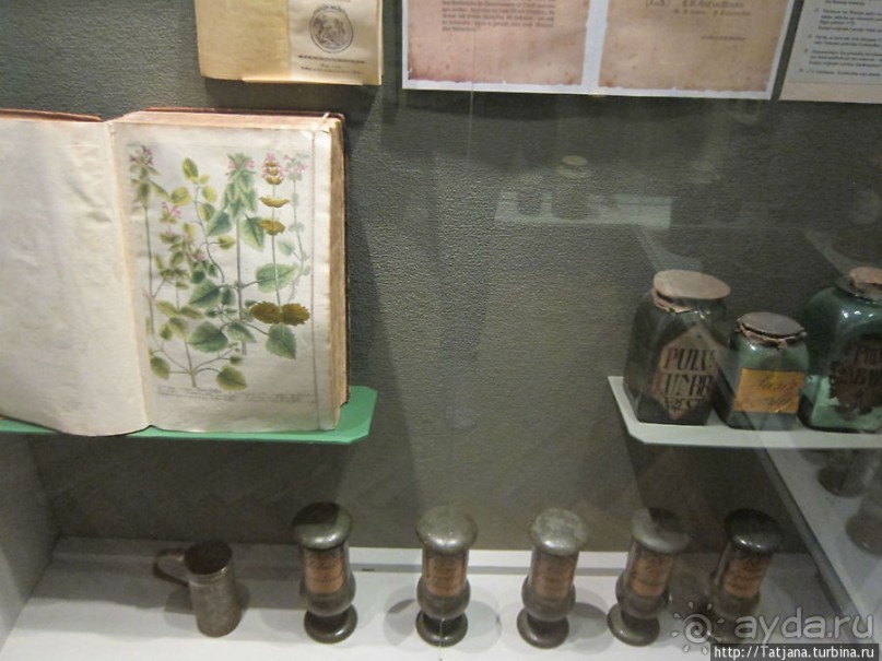 Музей истории медицины им. Паула Страдыня