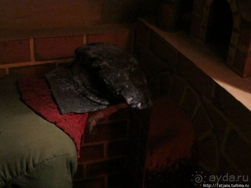 Музей истории медицины им. Паула Страдыня