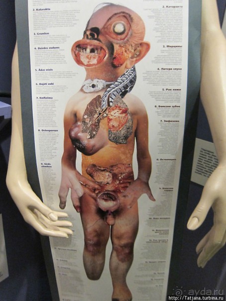 Музей истории медицины им. Паула Страдыня