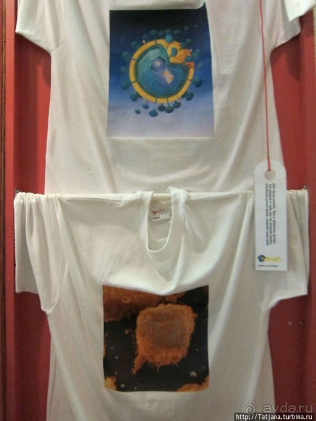 Музей истории медицины им. Паула Страдыня