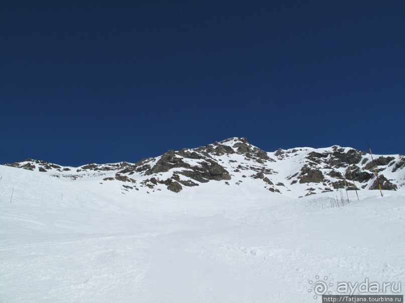 Альбом отзыва "Лучше гор могут быть только горы!"