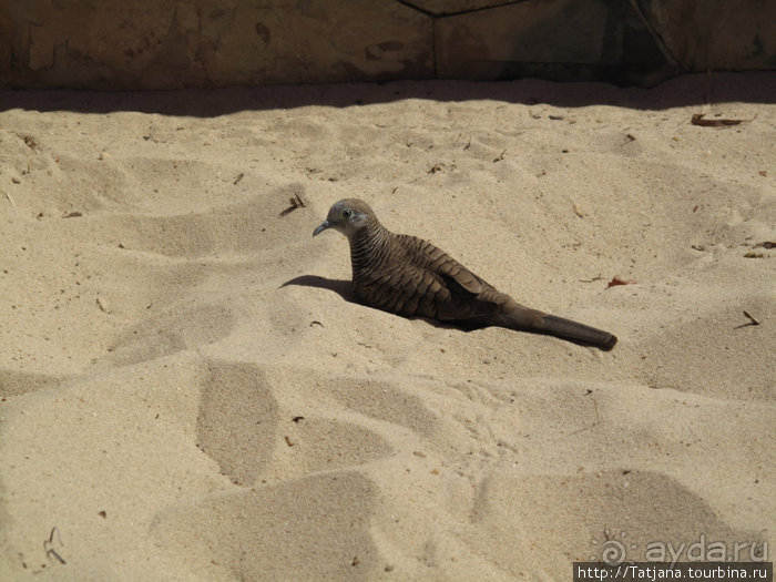 Старейший курорт Таиланда Хуа Хин