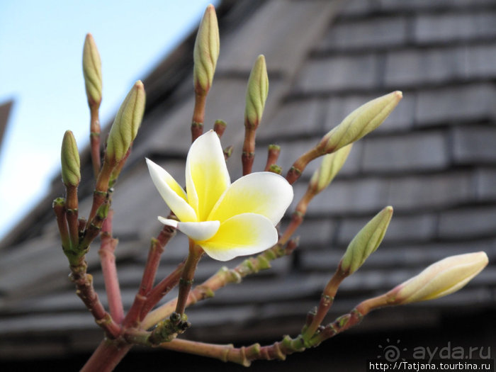 Старейший курорт Таиланда Хуа Хин