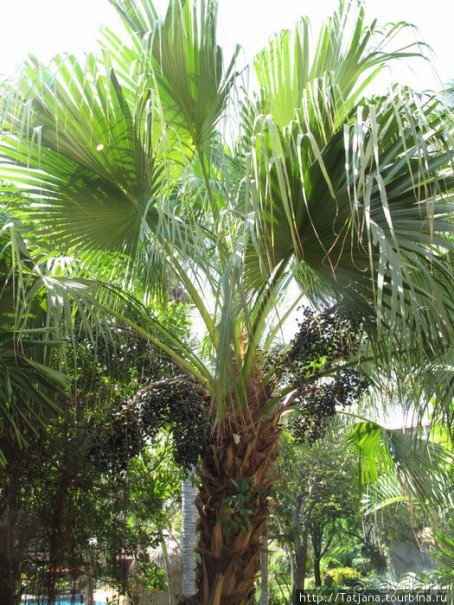 Старейший курорт Таиланда Хуа Хин