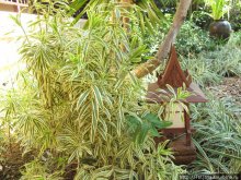 Старейший курорт Таиланда Хуа Хин