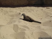 Старейший курорт Таиланда Хуа Хин