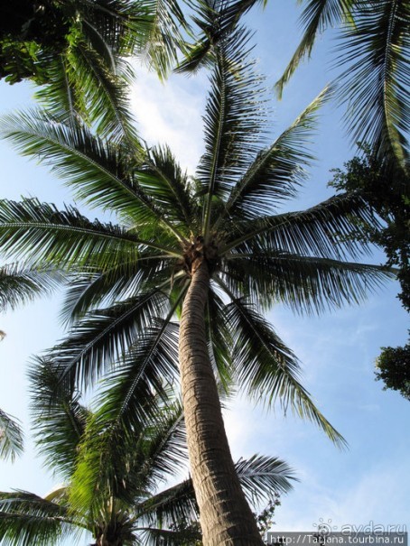 Старейший курорт Таиланда Хуа Хин