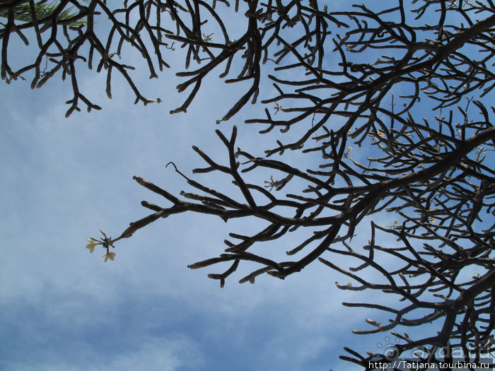 Старейший курорт Таиланда Хуа Хин