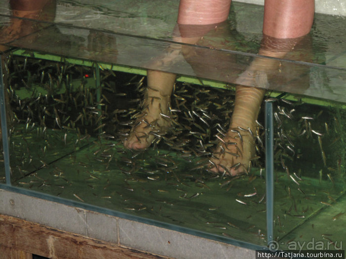 Старейший курорт Таиланда Хуа Хин