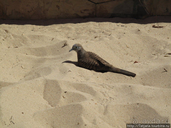 Старейший курорт Таиланда Хуа Хин
