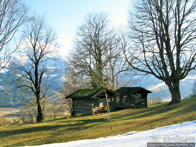 Альбом отзыва "Вид на озеро Цель-ам-Зее с горнолыжного подьемника"