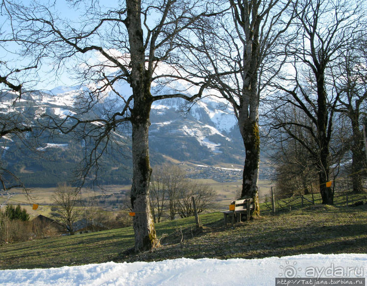 Альбом отзыва "Вид на озеро Цель-ам-Зее с горнолыжного подьемника"