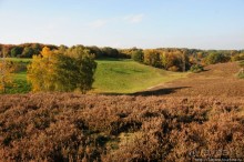 Альбом отзыва "Золотая осень Брюнссума"