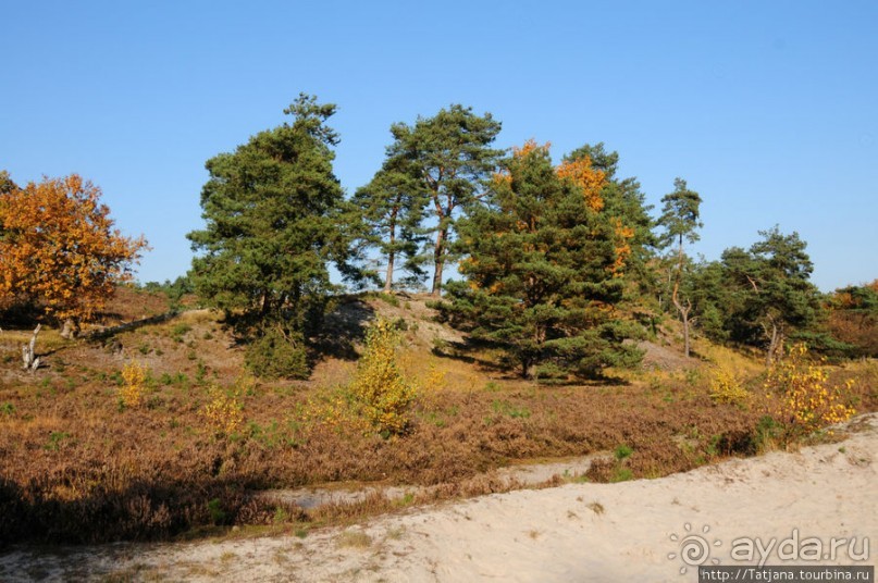 Альбом отзыва "Золотая осень Брюнссума"