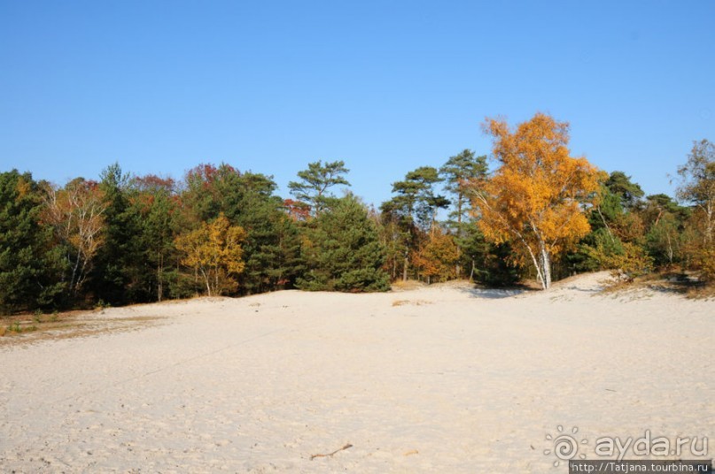 Альбом отзыва "Золотая осень Брюнссума"