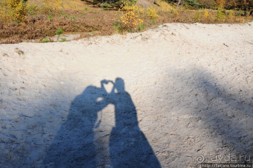 Альбом отзыва "Золотая осень Брюнссума"