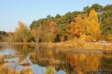 Альбом отзыва "Золотая осень Брюнссума"