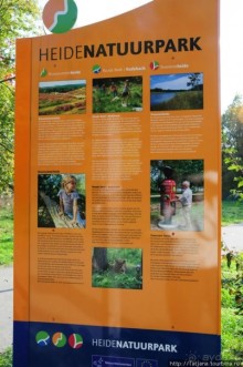 Альбом отзыва "Золотая осень Брюнссума"