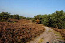 Альбом отзыва "Золотая осень Брюнссума"