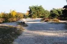 Альбом отзыва "Золотая осень Брюнссума"