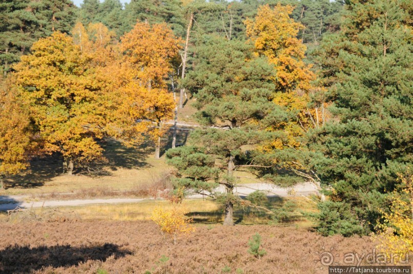 Альбом отзыва "Золотая осень Брюнссума"