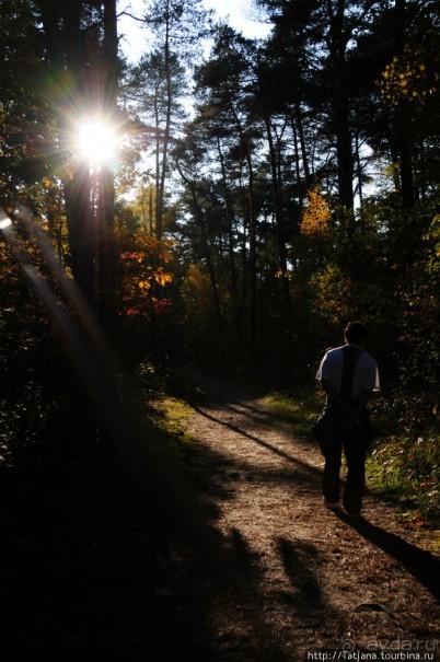 Золотая осень Брюнссума