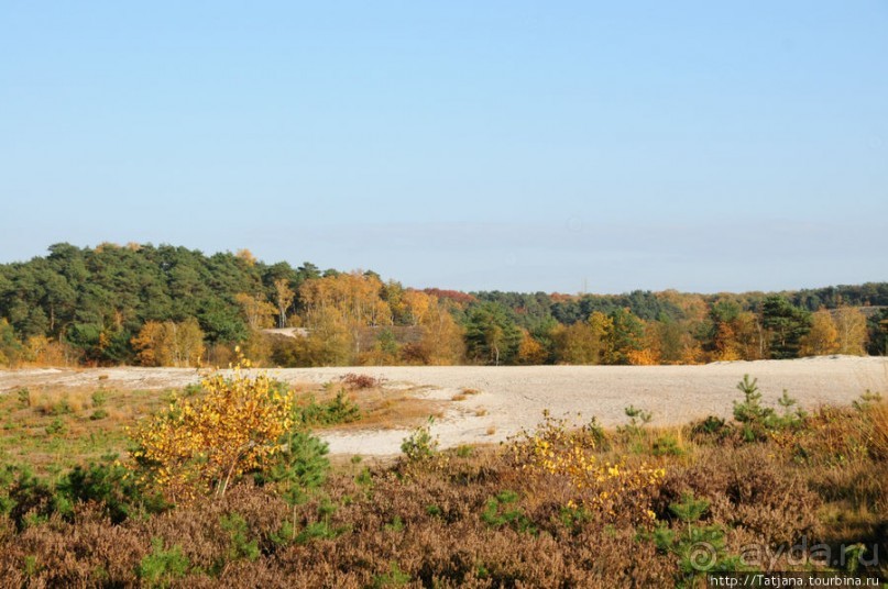 Золотая осень Брюнссума