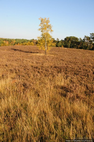 Золотая осень Брюнссума