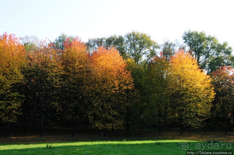 Золотая осень Брюнссума